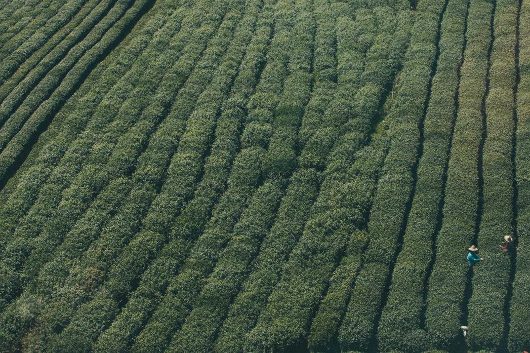 Odit molestias nihil corporis sint