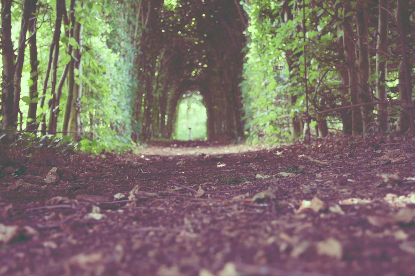 Distinctio consequuntur beatae magnam est voluptas ullam